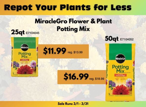 Two dollars off MiracleGro Potting Soil - GR Mitchell March Sales