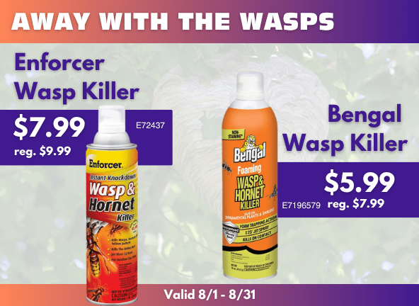 Wasp Killer on Sale at GR Mitchell
