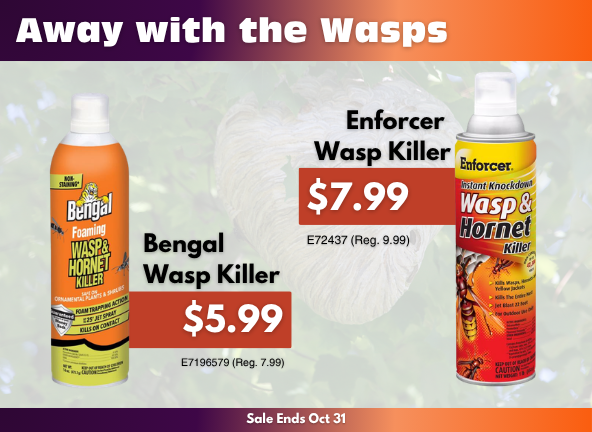 October Sales at GR Mitchell - Wasp Killer